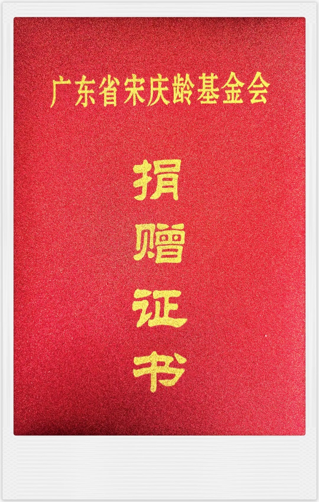 【喜讯】康亦健集团荣获“广东省宋庆龄基金会”捐赠证书